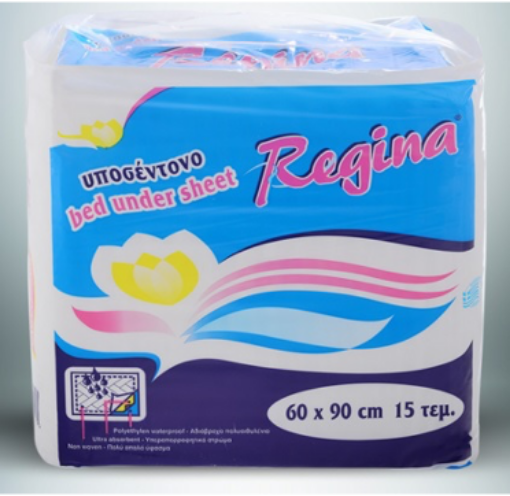 Εικόνα της ΥΠΟΣΕΝΤΟΝΑ REGINA ΝΟ4 90*180CM